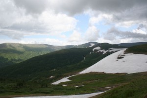 IMG_0050.jpg