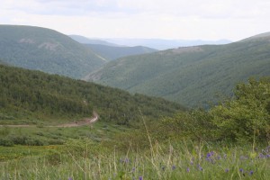 IMG_0065.jpg