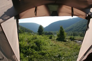 IMG_0130.jpg