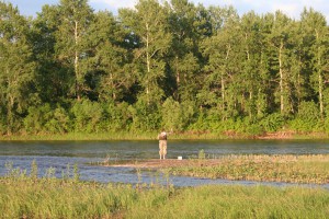 IMG_0357.jpg