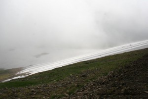 IMG_0003.jpg