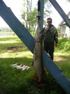 DSCN6336 ум.JPG