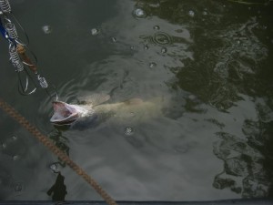 IMG_0839.JPG