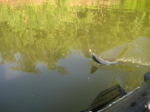 IMG_0857.JPG