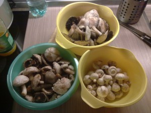 100720111023.jpg