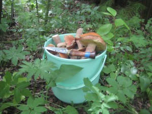 IMG_1079.JPG