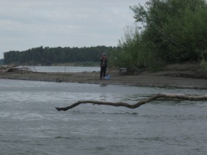 IMG_2229.jpg