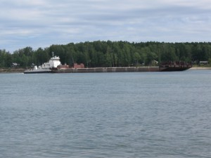 IMG_2234.jpg