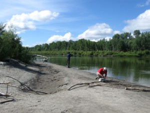 IMG_2253.jpg