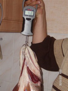 август11 009.jpg