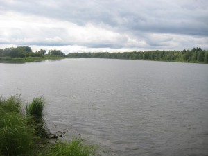 IMG_1226.JPG