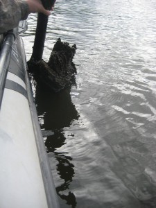 IMG_1230.JPG