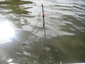 IMG_1234.JPG