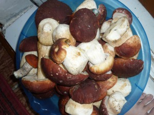 P1060040 [320x200].JPG