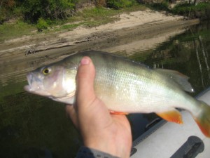 IMG_1248.JPG