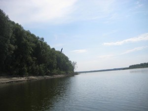 IMG_1271.JPG