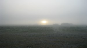 IMG_0694.JPG