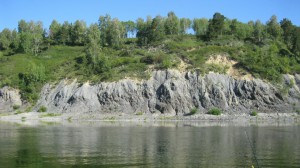 IMG_0711.JPG