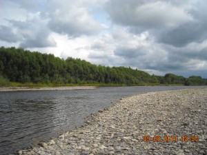 DSCN2729_thumb.jpg
