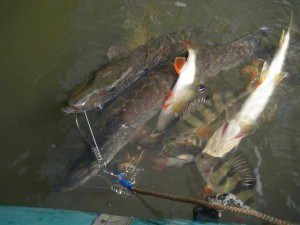 IMG_1372.JPG