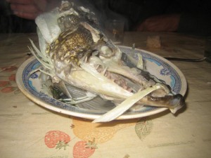 IMG_1422.JPG