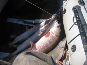 IMG_1453.JPG