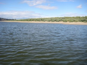 IMG_1454.JPG