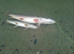 28082011243.jpg