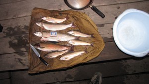 IMG_1860.JPG