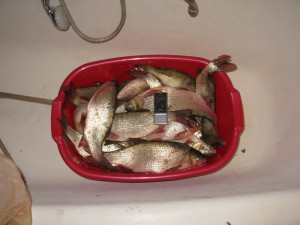 IMG_0014.jpg