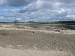 IMG_1461.JPG
