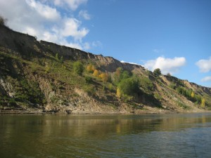 IMG_1475.JPG