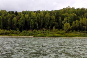 DSC00117.JPG