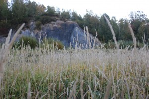 рыбалка 08,09,11 008.jpg
