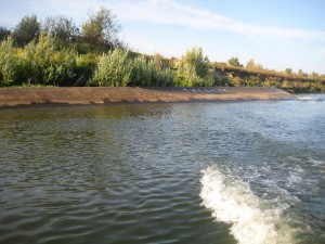 IMG_1525.JPG