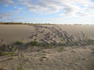 IMG_1564.JPG