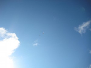 IMG_1567.JPG