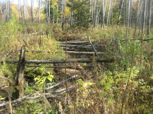 IMG_1596.JPG