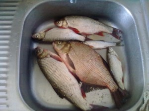 19092011085.jpg