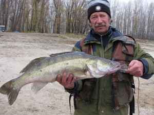 судак 6 кг.JPG