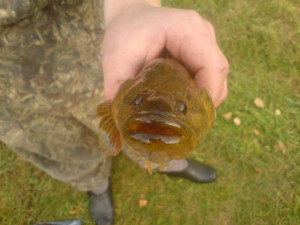 DSC02838_thumb.jpg