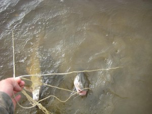 IMG_1813.JPG