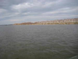 IMG_1817.JPG
