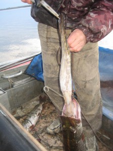 IMG_1827.JPG