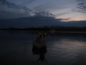 IMG_1833.JPG