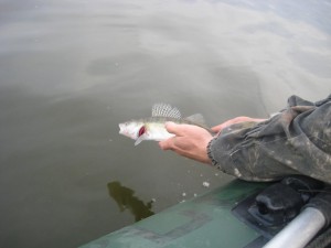 IMG_1838.JPG