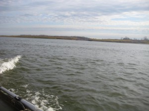 IMG_1854.JPG