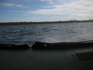 IMG_1865.JPG