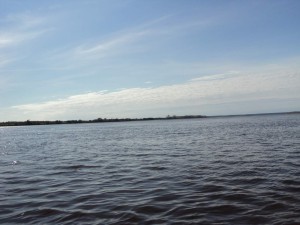 DSC00409_thumb.jpg