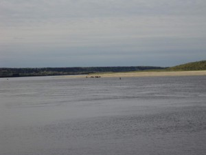 DSC00411_thumb.jpg